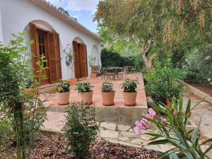 a patio with potted plants in front of a house at Molino de Las Pilas - Ecoturismo - Caminito del Rey in Teba