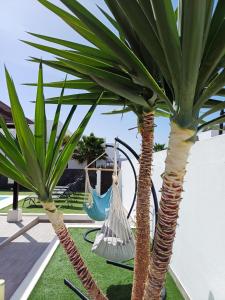 two palm trees with hammocks in a yard at Casa Sunny in Yaiza