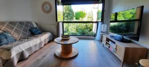 Μια τηλεόραση ή/και κέντρο ψυχαγωγίας στο Appartement rénové totalement - Vue sur jardin - 52 m²