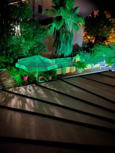 a bench with an umbrella and a palm tree at night at chez Guy in Marseille