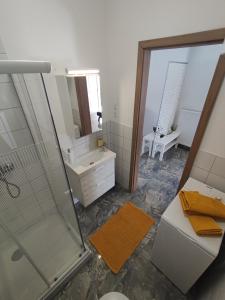 a bathroom with a shower and a sink and a mirror at RYB Lofts Budapest in Budapest