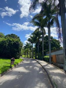 uma rua com palmeiras ao lado de uma estrada em APARTAMENTO SOL E MAR VITÓRIA em Vitória