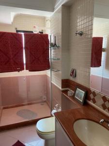 uma casa de banho com um chuveiro, um WC e um lavatório. em APARTAMENTO SOL E MAR VITÓRIA em Vitória