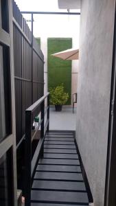 een trap naar een gang met een groene plant bij Hotel Casa Tepic in Tepic