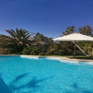 a large blue swimming pool with an umbrella and palm trees at Casa Foresta Melipillán - Melipilla in Melipilla
