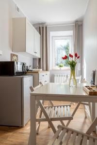 Kuchnia lub aneks kuchenny w obiekcie Willa Sonata - Apartamenty & Balia - Szklarska Poręba