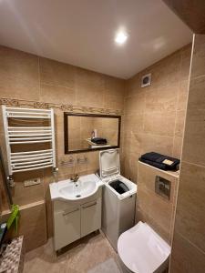 a small bathroom with a sink and a toilet at Ditemo center apartment self check in in Šiauliai +14 photos