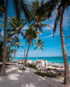 a group of palm trees on the beach at Diamante K - Inside Tulum National Park in Tulum