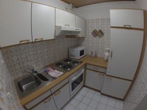 Η κουζίνα ή μικρή κουζίνα στο Apartment Zaglau
