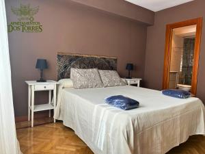 a bedroom with a bed with two blue pillows on it at Dos Torres Ático - Solárium Privado en Calle Alfonso I in Zaragoza