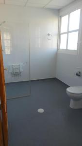 uma casa de banho com um WC e uma cabina de duche em vidro. em Hotel Rural-Restaurante Los Olivos em Almería