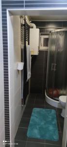 ein Badezimmer mit einem WC und einem grünen Teppich in der Unterkunft Kuća Barbara in Slavonski Brod