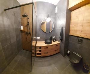 a bathroom with a shower with a sink and a mirror at Prawnicza50 in Żory
