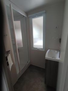 a bathroom with a shower and a sink and a window at La Salicorne in Breuillet