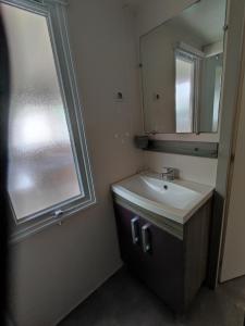 a bathroom with a sink and a mirror at La Salicorne in Breuillet