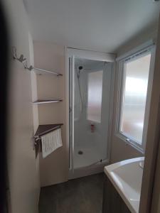 a bathroom with a shower and a sink at La Salicorne in Breuillet