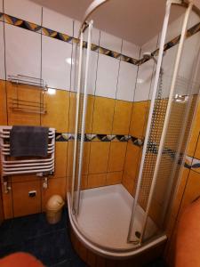 a bathroom with a shower and a toilet at Willa Marta M Sauna Jacuzzi in Zakopane