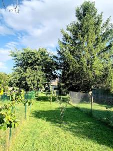 un patio con dos árboles y una valla en Maison, grand jardin à Amiens en Amiens