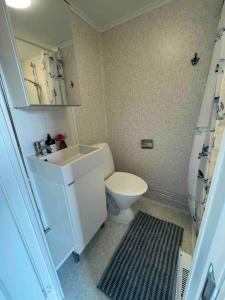 Koupelna v ubytování Hemtrevlig stuga på Öland nära Ölands djurpark
