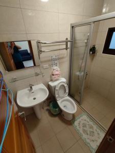y baño con aseo, lavabo y ducha. en Adore Yilan, en Luodong