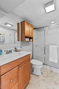 y baño con aseo, lavabo y ducha. en Stunning 4 BD Home near Tilles Park - JZ Vacation Rentals, en Richmond Heights