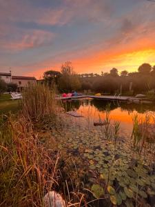 a sunset over a pond with lily pads on it at Agriturismo Casa Aurora in Bussolengo