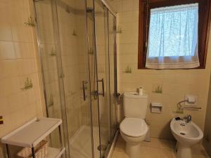 a bathroom with a shower and a toilet and a sink at Allotjaments Bruc in Camprodon +39 photos