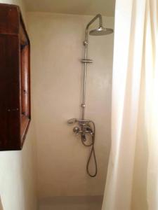 een douche in de hoek van een badkamer met een gordijn bij THE GARDEN OF CHIOS in Chios