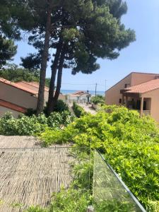 un jardin avec un arbre et un bâtiment dans l'établissement La Casa Del Racou, à Argelès-sur-Mer