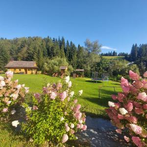 Zahrada ubytování Tylicki Stary Dom