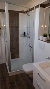een badkamer met een douche, een toilet en een wastafel bij Wohnen auf dem Bauernhof in Laatzen