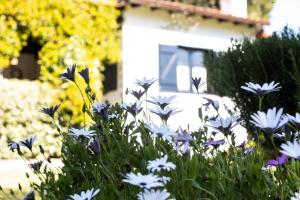 Zahrada ubytování Villa Pigadi Nikiti beach vacation