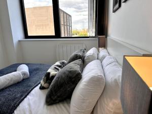 uma cama com almofadas num quarto com uma janela em Luxury 1 Bedroom Apartment in Old Trafford em Manchester