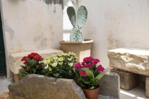 A seating area at Giardino Nascosto