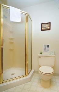 a bathroom with a shower and a toilet at Vista Court Cabins & Lodge in Buena Vista