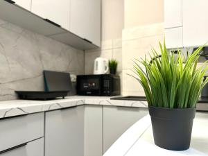 Kuchyň nebo kuchyňský kout v ubytování MMRent Bubble Room + 8 fotografií