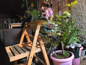 Chocolates&Flowers في Leverstock Green: كرسي خشبي جالس بجانب نبات الفخار