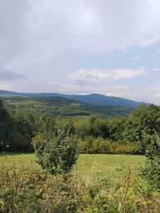 ein Grasfeld mit Bergen im Hintergrund in der Unterkunft Vikendica Sibnica in Blace