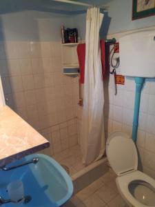 ein kleines Bad mit einem WC und einer Dusche in der Unterkunft Vikendica Sibnica in Blace