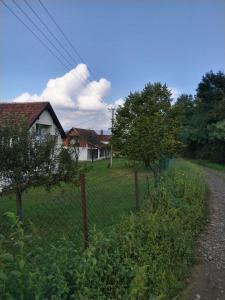 einen Zaun vor einem Haus mit Garten in der Unterkunft Vikendica Sibnica in Blace