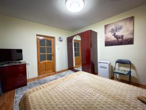 1 dormitorio con 1 cama grande y TV en Căsuța Măriuca en Greci