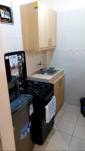 a small kitchen with a stove and a sink at Papino Studio Apartment in Nairobi