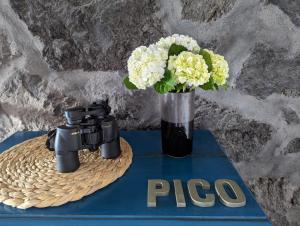 una cámara y un jarrón de flores sobre una mesa en Casas do Horizonte, en Ribeiras
