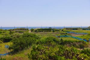 ein Feld von Pflanzen mit dem Ozean im Hintergrund in der Unterkunft ocean resort mint - Vacation STAY 62442v in Minamiboso