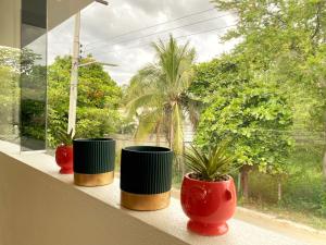 three pots sitting on a window sill with plants at Edificio Teocalli, Bacocho Puerto Escondido in Puerto Escondido