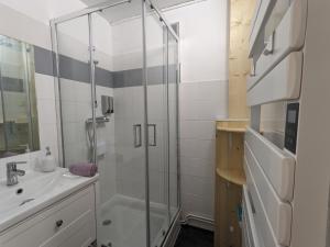 a bathroom with a shower and a sink at Appartement 4 personnes et jardin in Bielle +12 photos