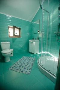 La salle de bains bleue est pourvue de toilettes et d'une douche. dans l'établissement Pensiunea Cristina, 