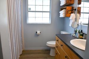 a bathroom with a sink and a toilet and a window at Luxurious Farm House 63 Acres in East Palatka