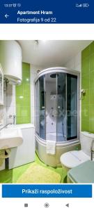 a bathroom with a shower and a sink at Apartment Hram in Belgrade