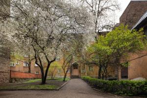 リガにあるBrivibas Yard Apartment With Parking In City Centerの建物前の木々の空き路地